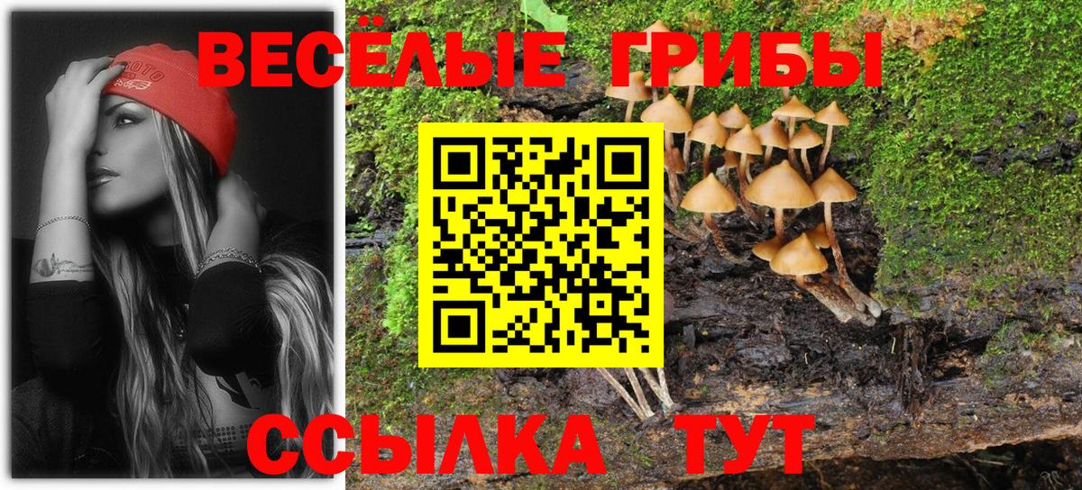 Галлюциногенные грибы GOLDEN TEACHER  Вход с VPN  Галлюциногенные грибы мицелий  Армавир 
